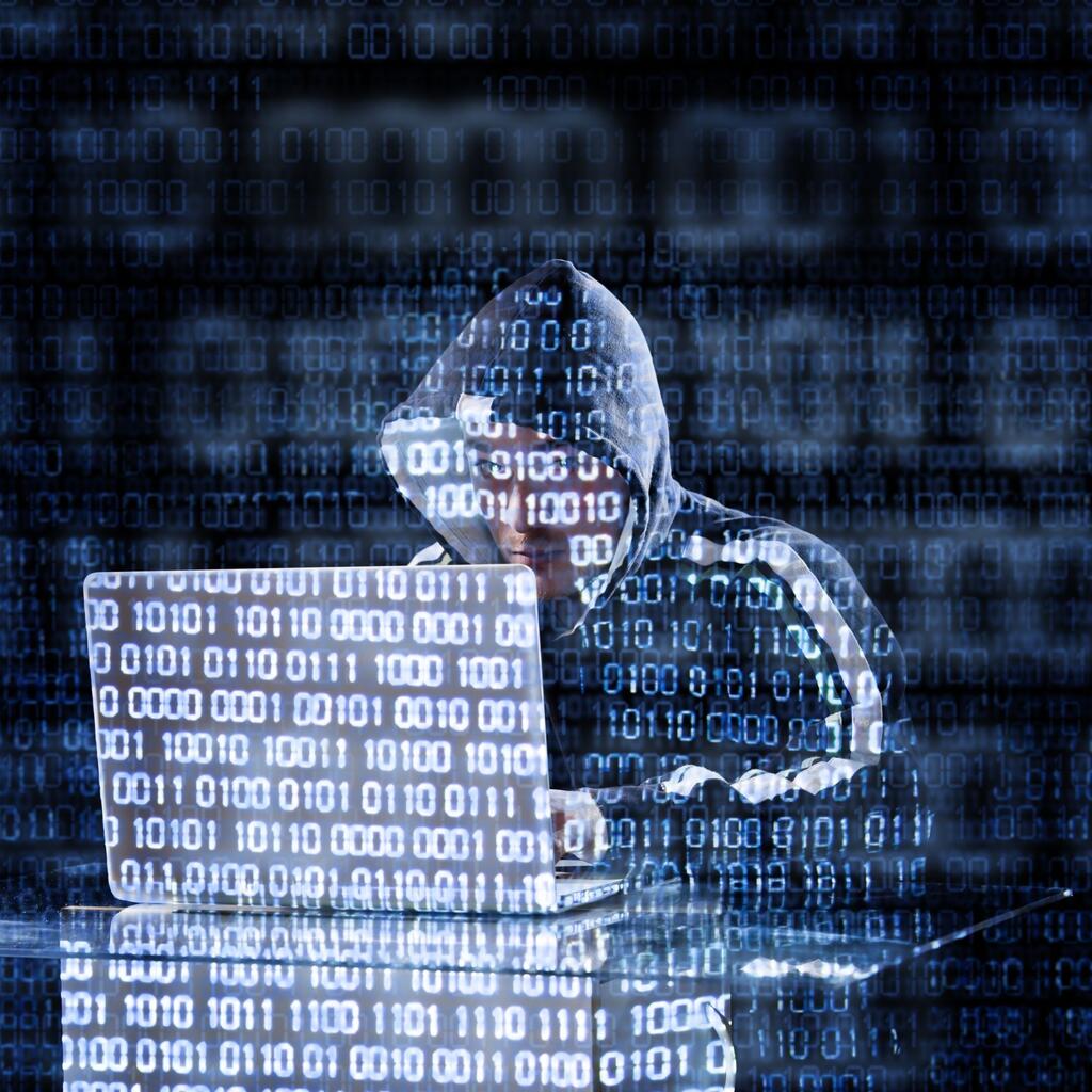 Datendiebstahl, Malware