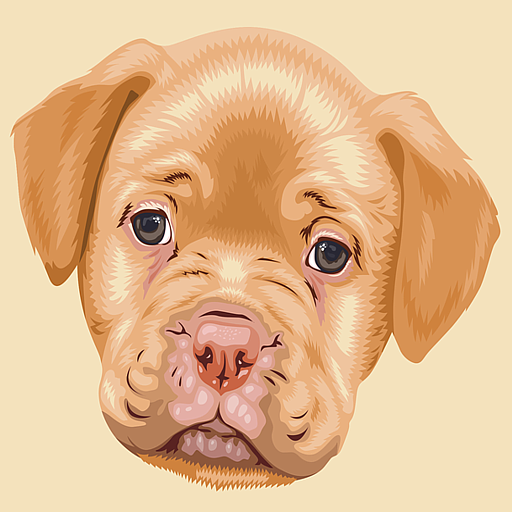 Hundetraining online - besser als jeder Hundetrainer!