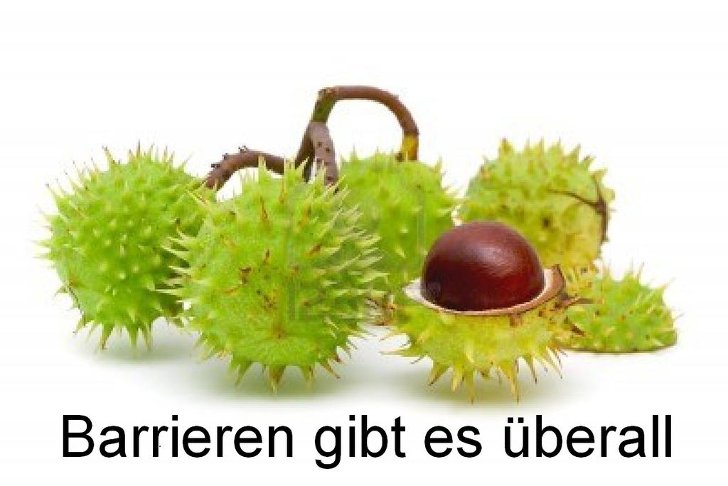 http://www.manfred-kindl.at