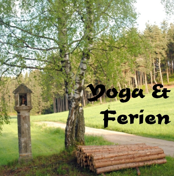 Wochenend-Seminar Yoga 