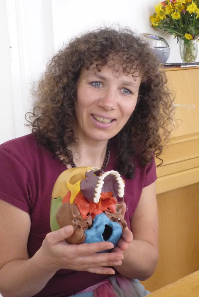 Craniosacrale Berühung - Cranioschule