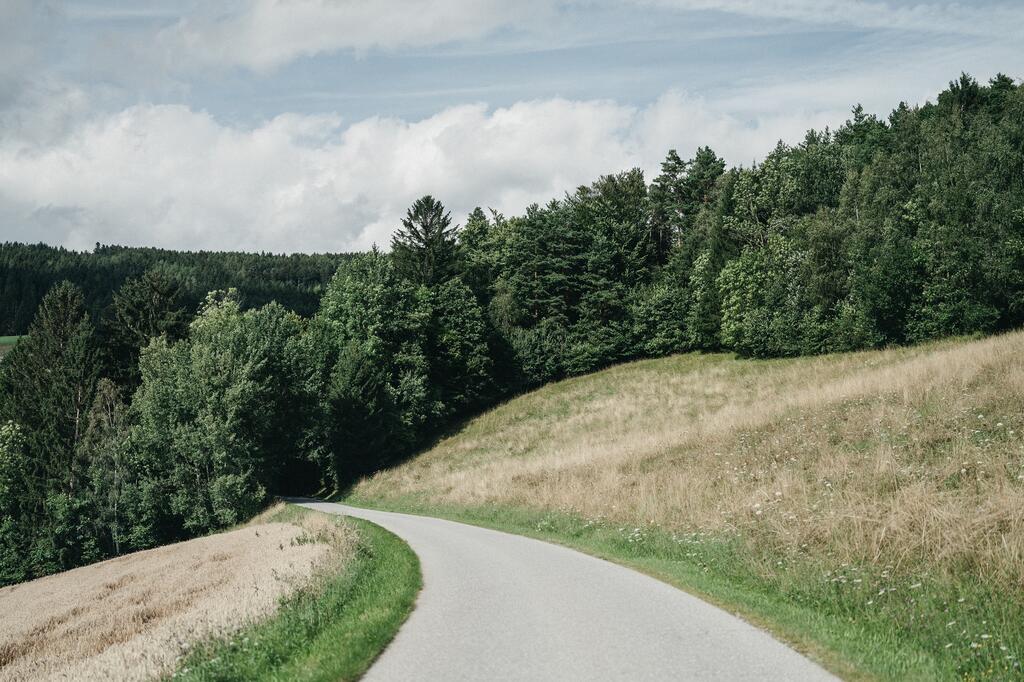 Erleben Sie atemberaubende Wanderungen rund um das Hotel Muhr!